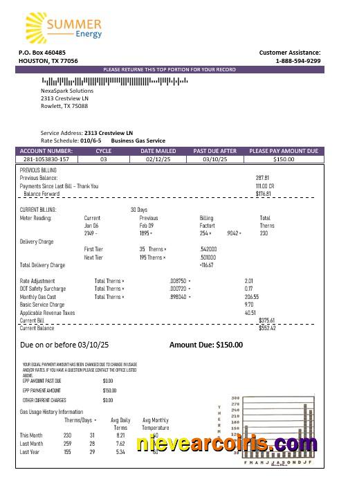 USA Texas Summer Energy easy fillable business utility bill